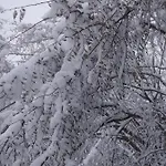 Eguzkitza Elgeta