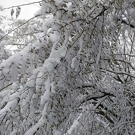 Eguzkitza Oda ve Kahvaltı Elgeta
